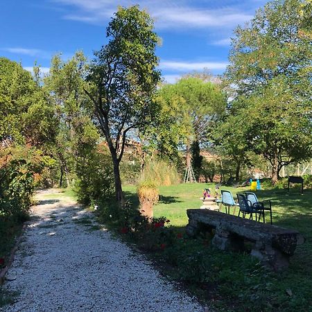 Meraviglia Vetralla Luaran gambar